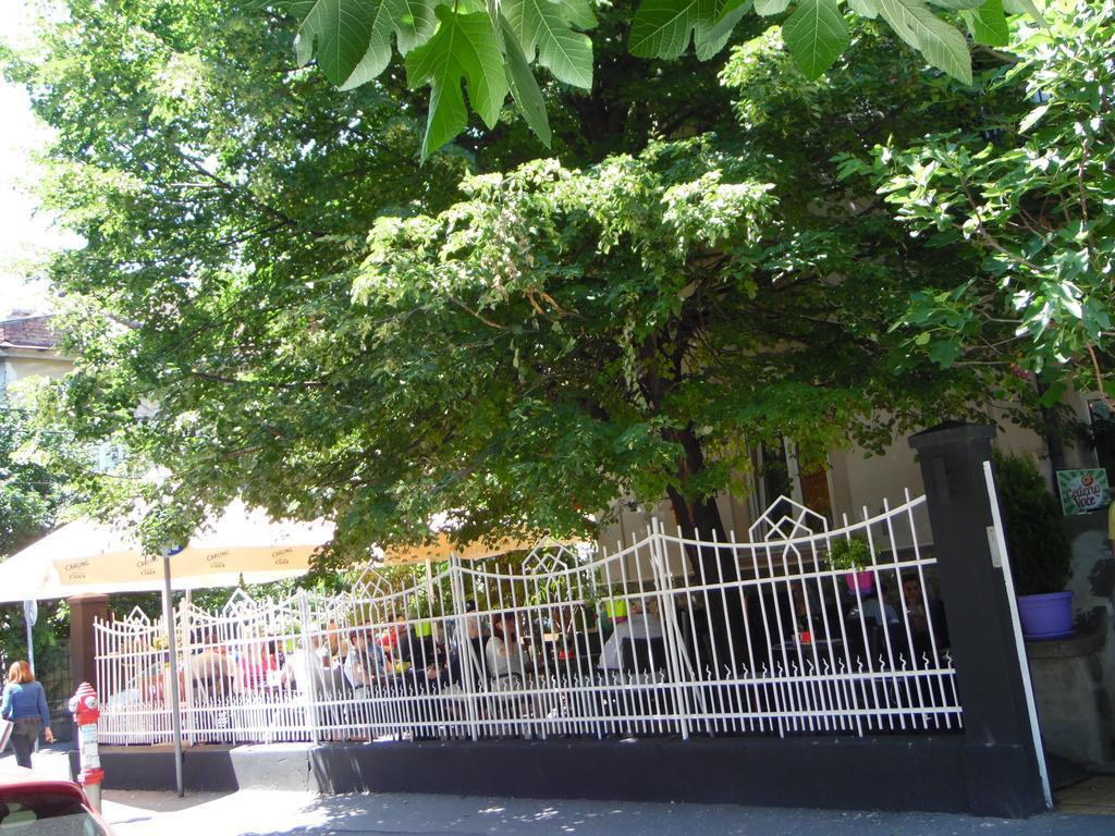 Apartment Vracar