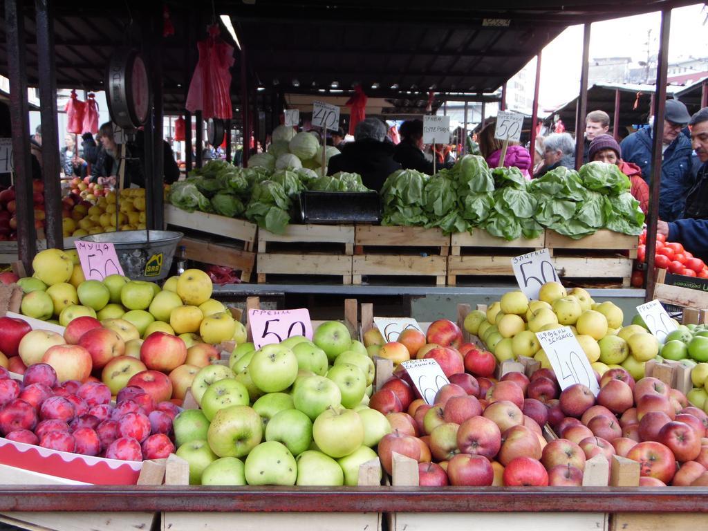 Vracar Appartamento Belgrado