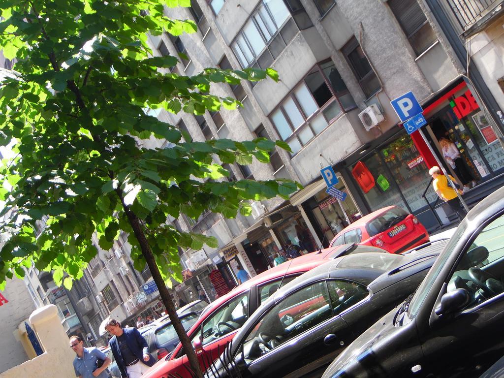 Vracar Apartment